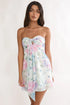 Enchanted Garden Mini Dress