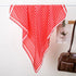 Red Gingham Scarf