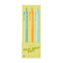 Dilly Dally Dept Jotter Set
