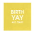 BirthYAY All Day Cocktail Napkins