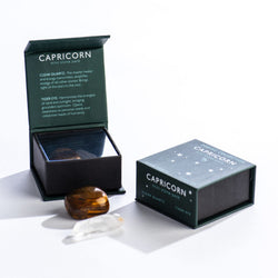 Capricorn Mini Stone Pack