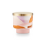 Coconut Milk Mango Ceramic Candle